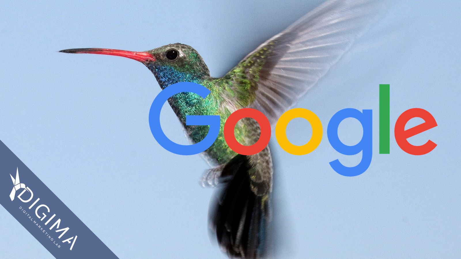 Che cos’è Google Hummingbird?